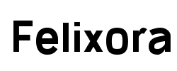 Felixora - logo